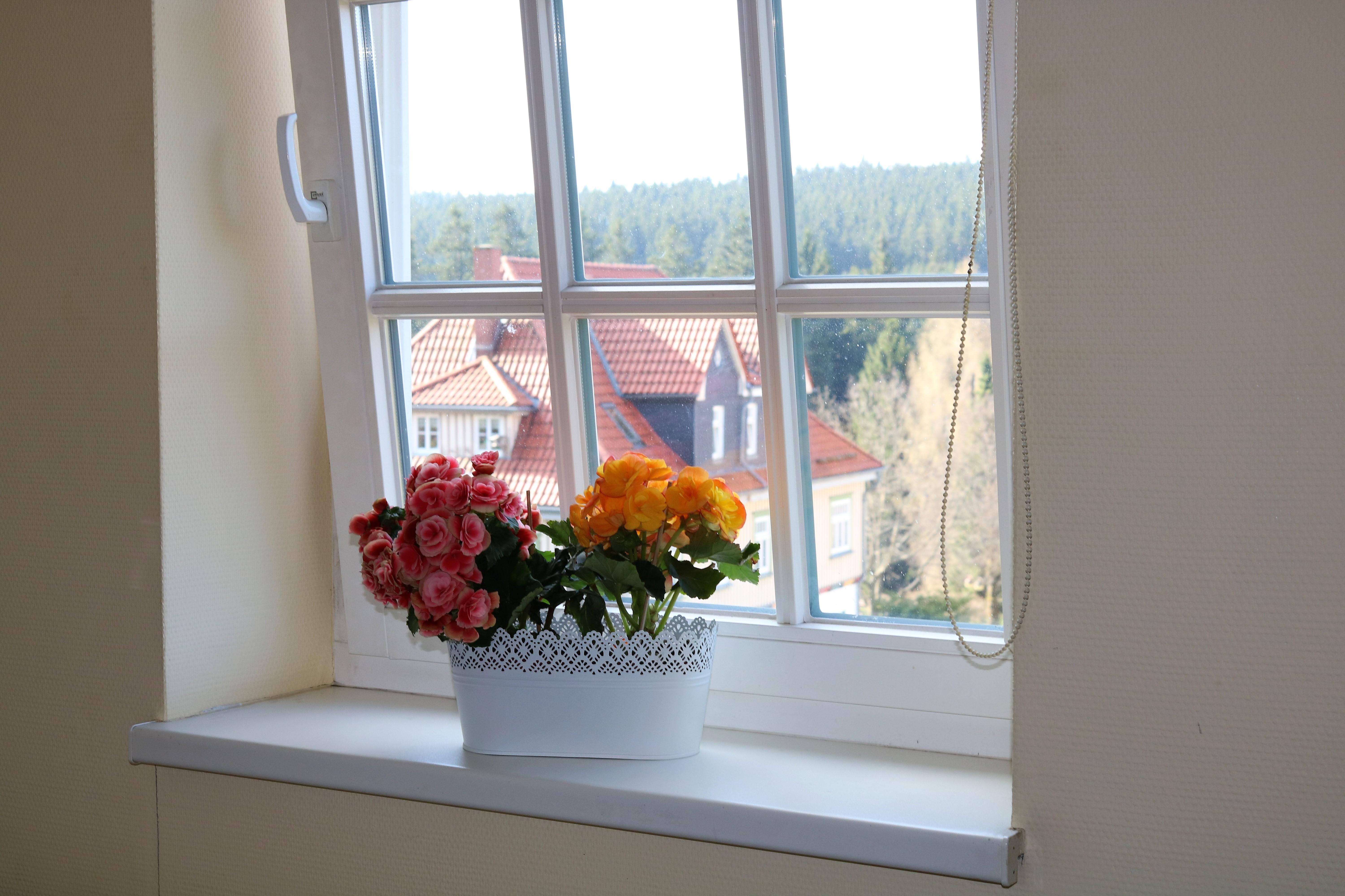 Regiohotel Am Brocken Ширке Екстер'єр фото